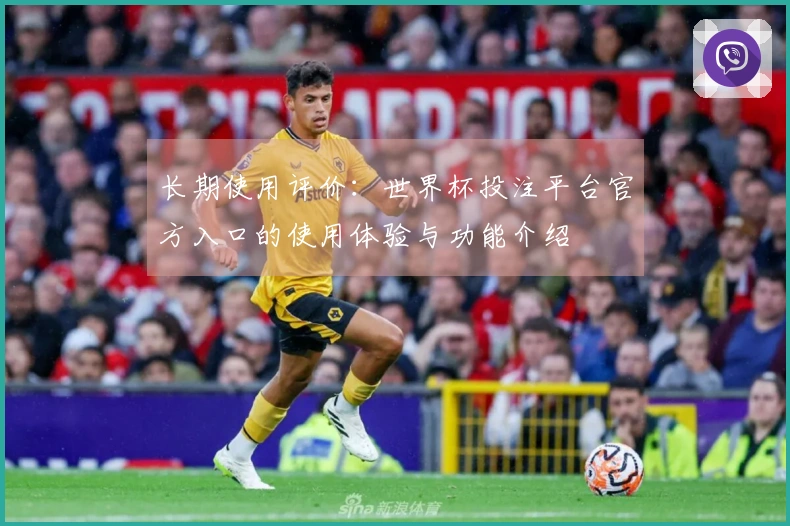 长期使用评价：世界杯投注平台官方入口的使用体验与功能介绍