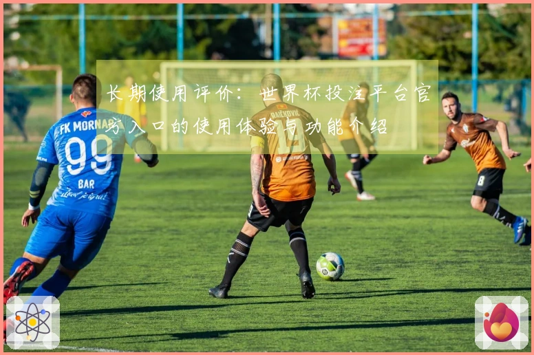 长期使用评价：世界杯投注平台官方入口的使用体验与功能介绍