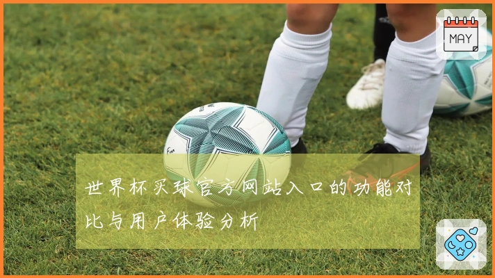 世界杯买球官方网站入口的功能对比与用户体验分析