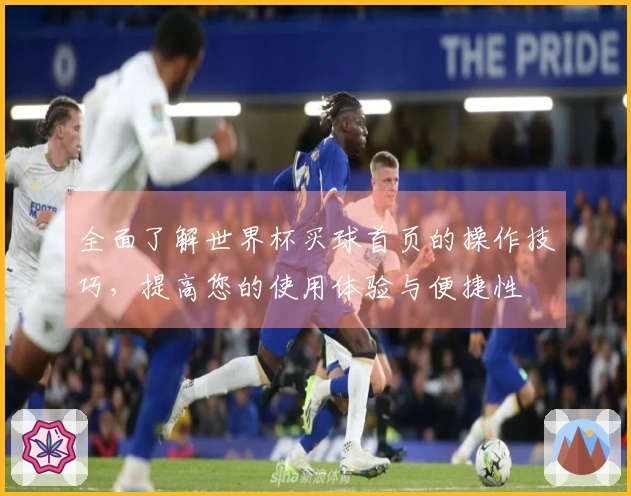 全面了解世界杯买球首页的操作技巧，提高您的使用体验与便捷性