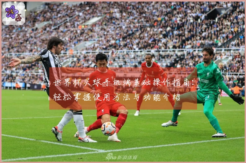 世界杯买球手机端基础操作指南：轻松掌握使用方法与功能介绍