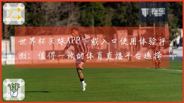 世界杯买球APP下载入口使用体验评测：值得一试的体育直播平台选择