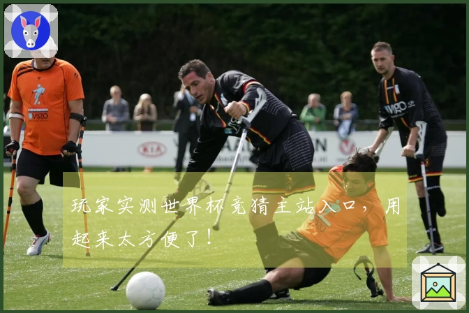 玩家实测世界杯竞猜主站入口，用起来太方便了！