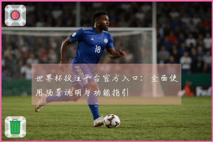 世界杯投注平台官方入口：全面使用场景说明与功能指引
