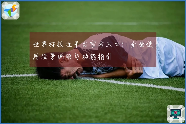 世界杯投注平台官方入口：全面使用场景说明与功能指引