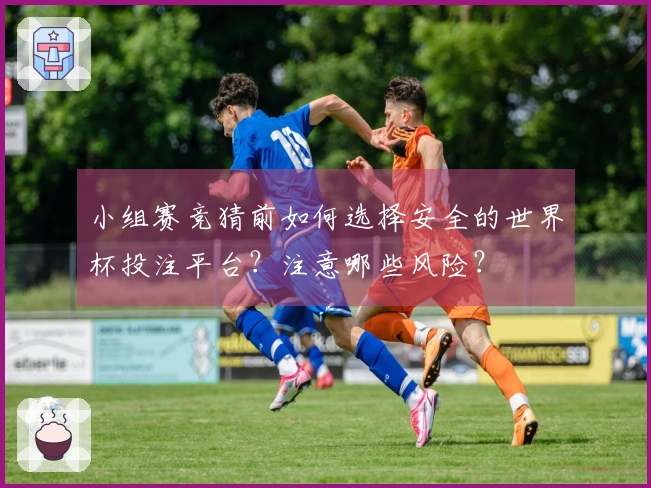 小组赛竞猜前如何选择安全的世界杯投注平台？注意哪些风险？