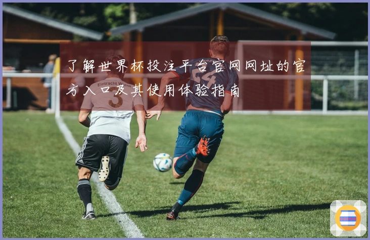 了解世界杯投注平台官网网址的官方入口及其使用体验指南