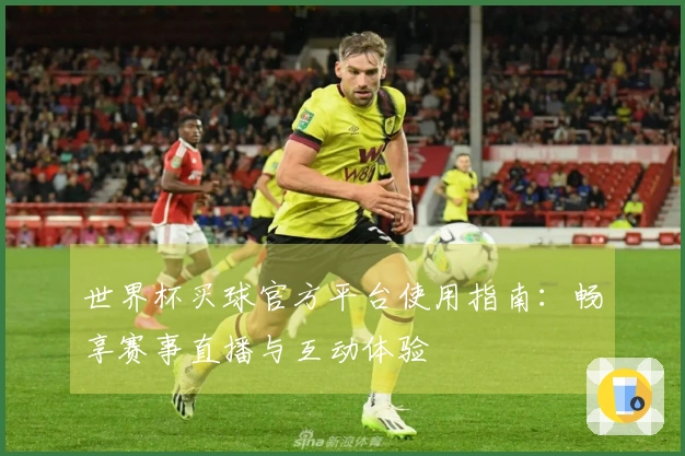 世界杯买球官方平台使用指南：畅享赛事直播与互动体验