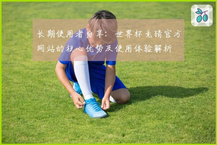 长期使用者分享：世界杯竞猜官方网站的核心优势及使用体验解析