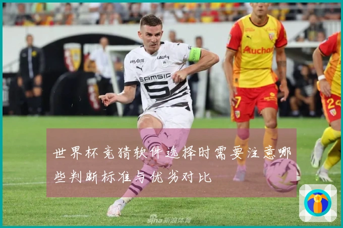 世界杯竞猜软件选择时需要注意哪些判断标准与优劣对比
